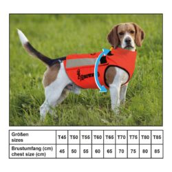 Occasion - Gilet de protection