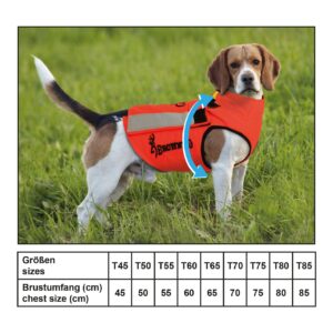 Occasion - Gilet de protection