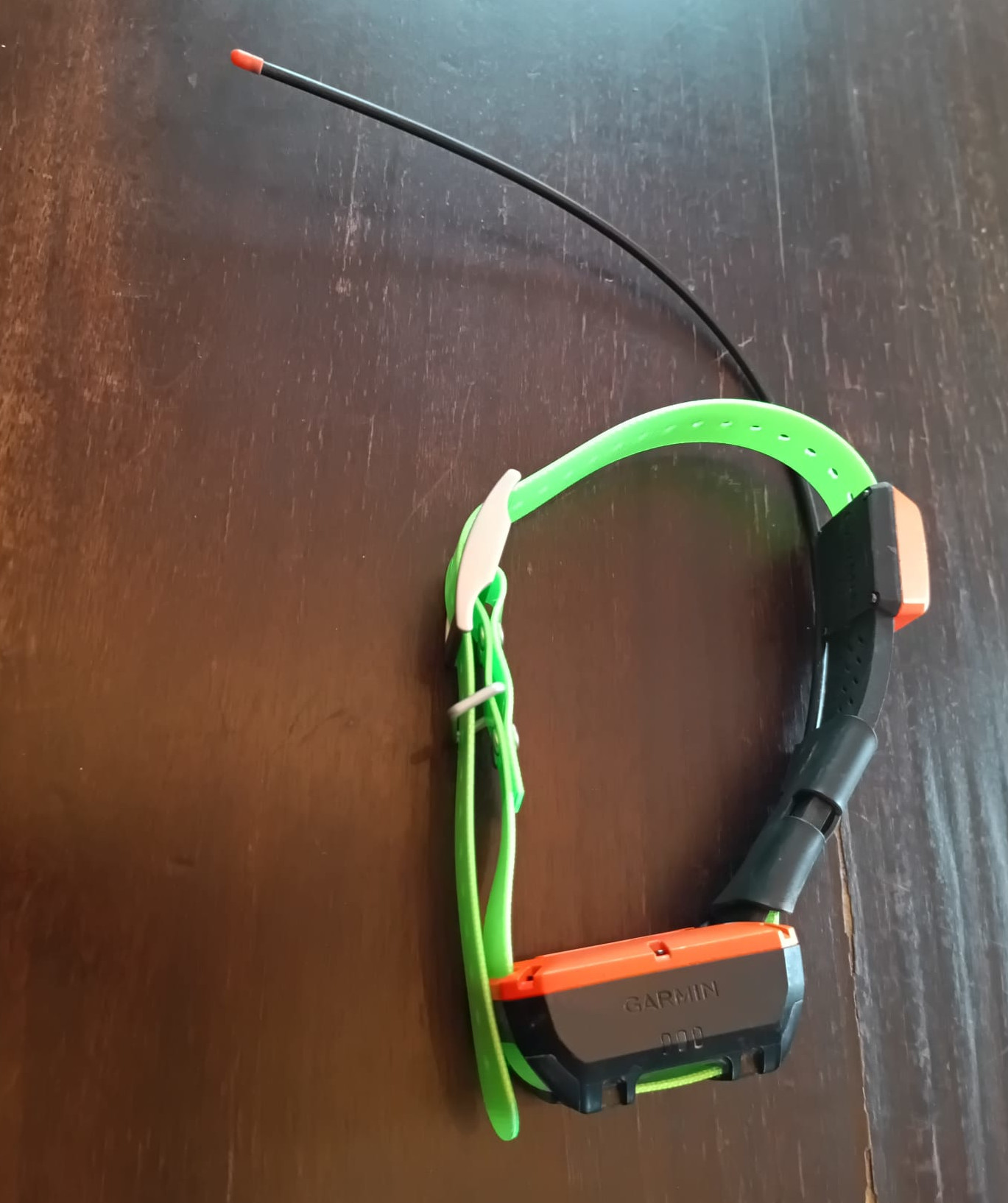 Garmin sports watch with a bright green strap and orange clasp on a dark wood surface.