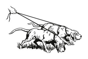 Bloodhounds Bloodhounds